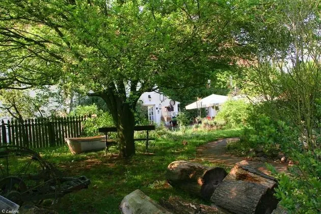 Superior Üç Kişilik Oda, Birden Çok Yatak, Bahçe Manzaralı