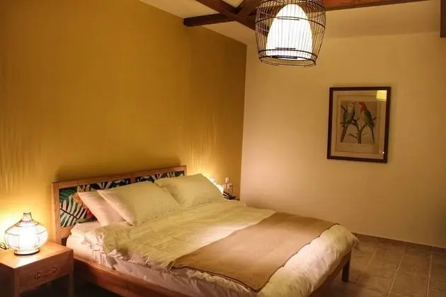 Comfort Tek Büyük veya İki Ayrı Yataklı Oda, Havuz Manzaralı