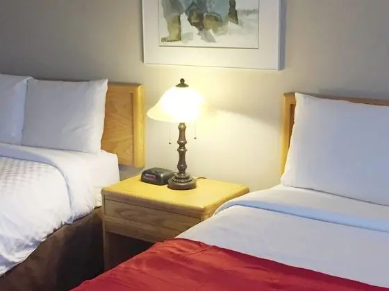 Deluxe Oda, 2 Çift Kişilik Yatak