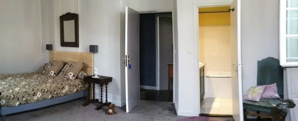 Superior Tek Büyük Yataklı Oda, Banyolu/Duşlu, Şehir Manzaralı