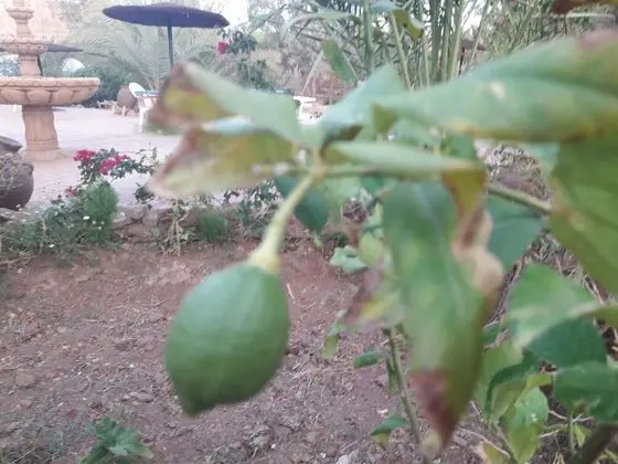 Ortak Ranzalı Oda, 1 Yatak Odası, Engellilere Uygun, Sigara İçilebilir