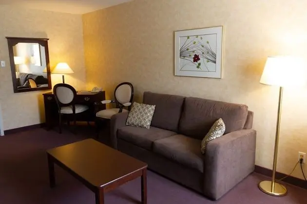 Standard Süit, 1 Büyük (Queen) Boy Yatak ve Çekyat