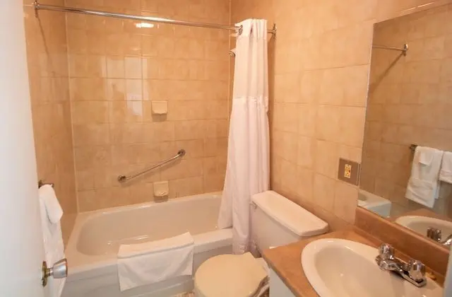 Standard Süit, 1 Büyük (Queen) Boy Yatak ve Çekyat