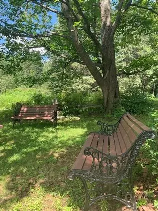 İki Ayrı Yataklı Oda, Sigara İçilmez