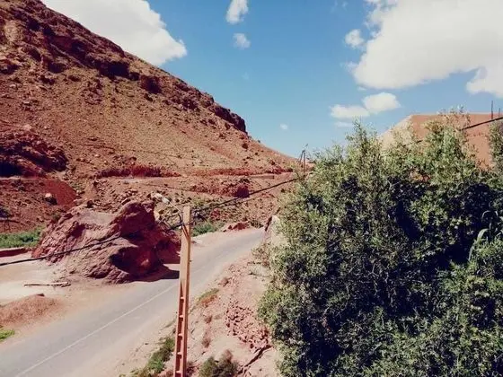 Dört Kişilik Oda, Dağ Manzaralı