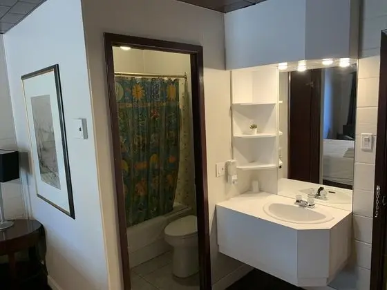 Standard Oda, 1 En Büyük (King) Boy Yatak, Bahçe Manzaralı