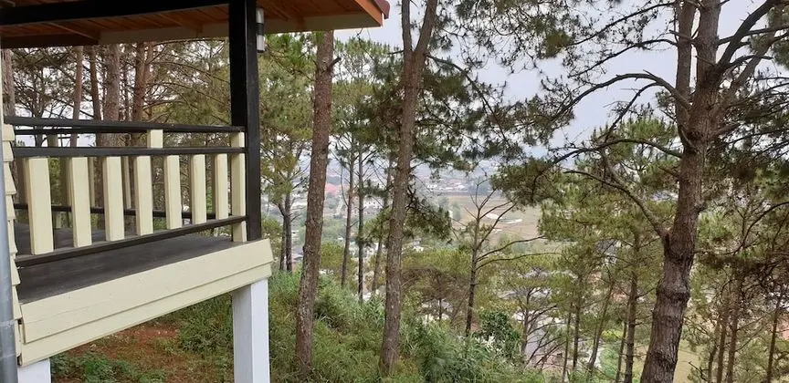 Standard Room with Hill View