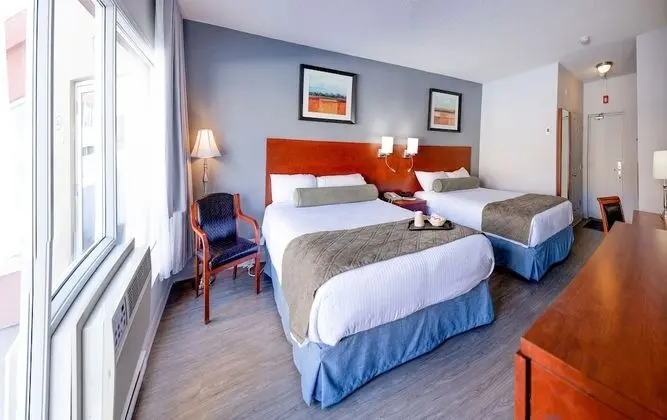 Deluxe Oda, 2 Çift Kişilik Yatak, Sigara İçilmez