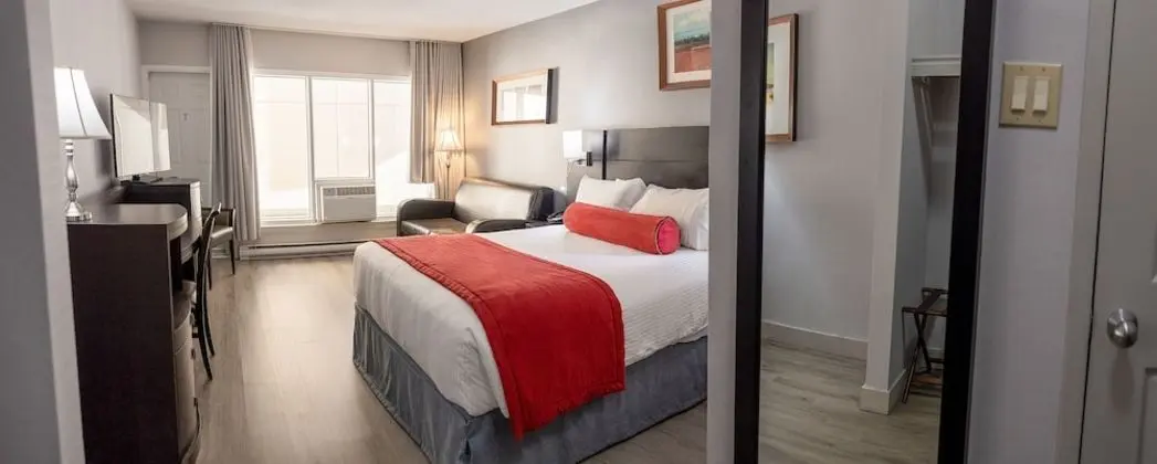 Premium Oda, 1 Büyük (Queen) Boy Yatak ve Çekyat, Sigara İçilmez