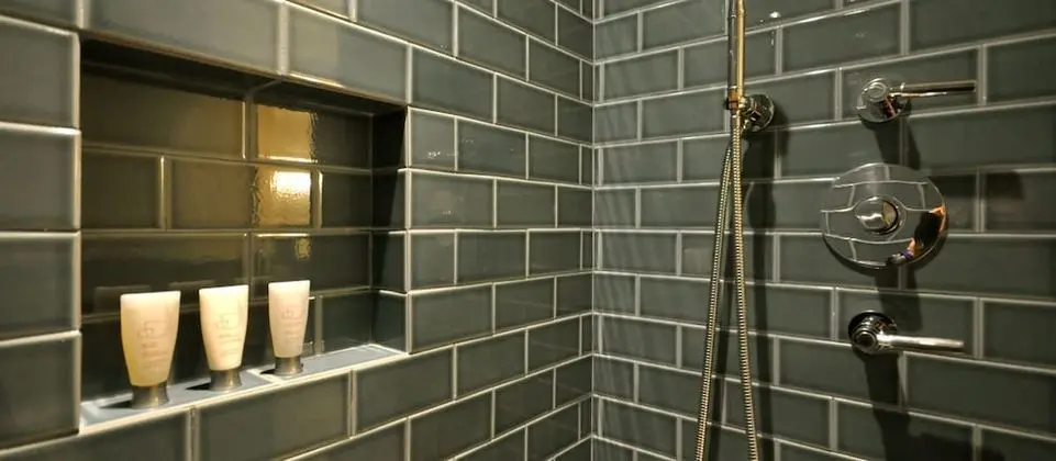 Süit
