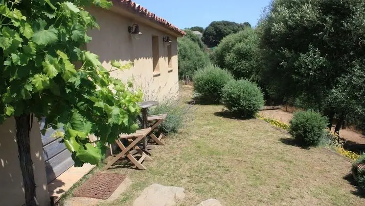 Ev (A Vigna)