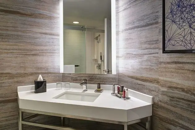 Oda, 1 En Büyük (King) Boy Yatak ve Çekyat (Mobility Accessible, Roll-In Shower)