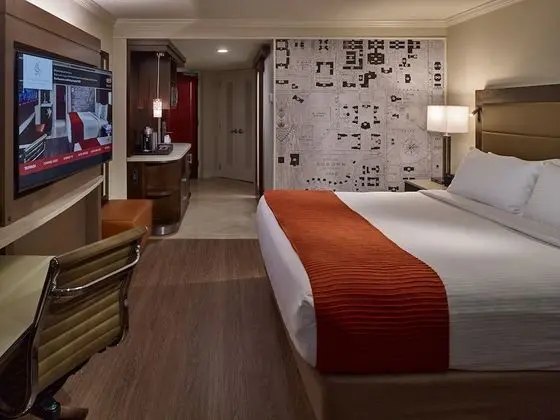 Deluxe Oda, 1 En Büyük (King) Boy Yatak (Deluxe King Room)