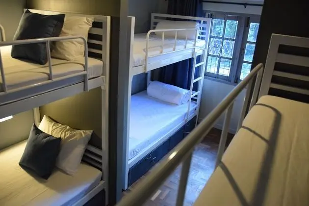 Bed in 8-Bed Mixed Dormitory Room