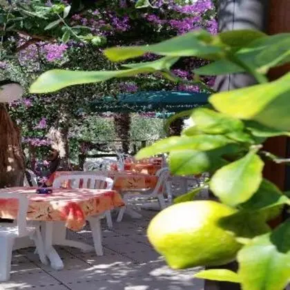 1 Çift Kişilik Veya 2 Tek Kişilik Yatak