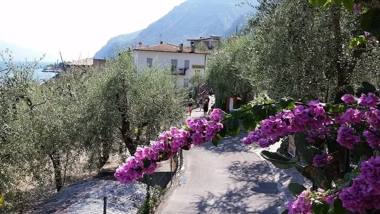 Standard Tek Büyük veya İki Ayrı Yataklı Oda, Balkon, Göl Manzaralı