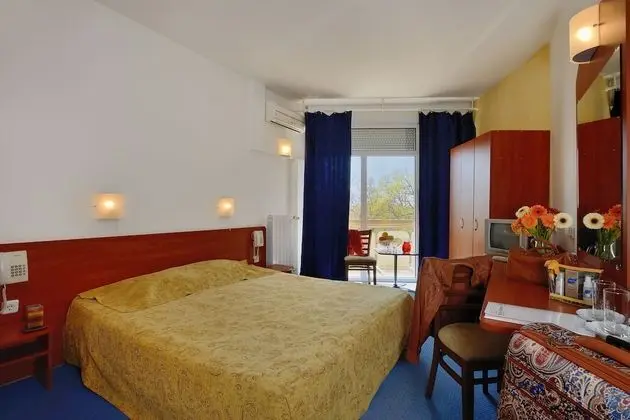 Standard Tek Büyük Yataklı Oda (Building II)