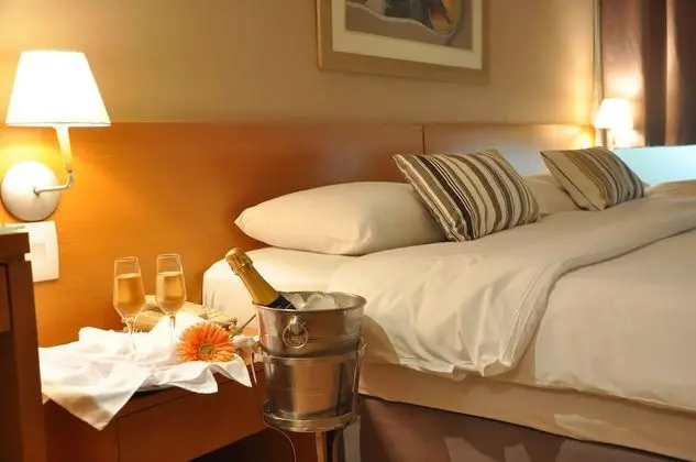 Standard Tek Büyük Yataklı Oda, 1 Çift Kişilik Yatak