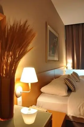 Standard Tek Büyük Yataklı Oda, 1 Çift Kişilik Yatak