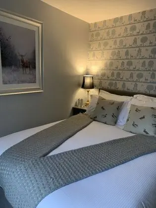 Standard Tek Büyük Yataklı Oda, Banyolu/Duşlu (Room 1)