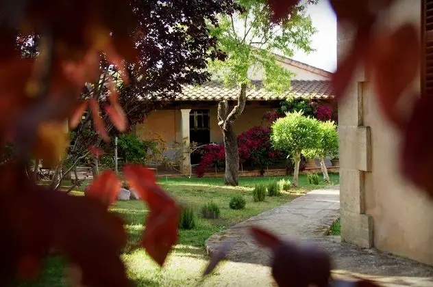 Süit, Teras (Private Garden)