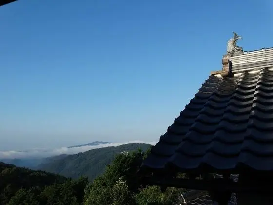 Standard Oda (Japanese Style, with Toilet)