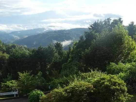 Superior Oda (Japanese Style, with Toilet)