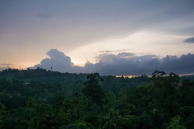 Standard Tek Büyük Yataklı Oda, 1 Yatak Odası, Dağ Manzaralı