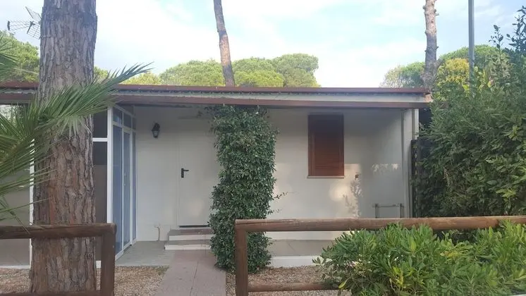 Basic Bungalov, 1 Çift Kişilik Yatak