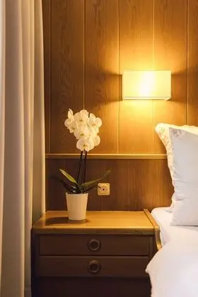 Tek Büyük Yataklı Oda (Waldblick)