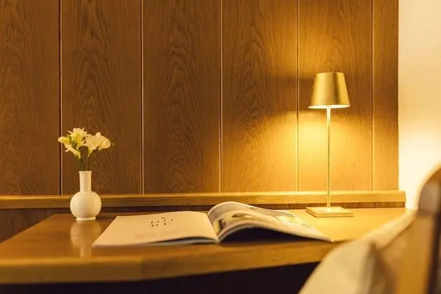 Tek Büyük Yataklı Oda (Waldblick)