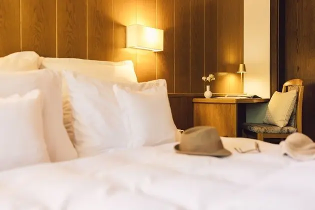 Tek Büyük Yataklı Oda (Waldblick)