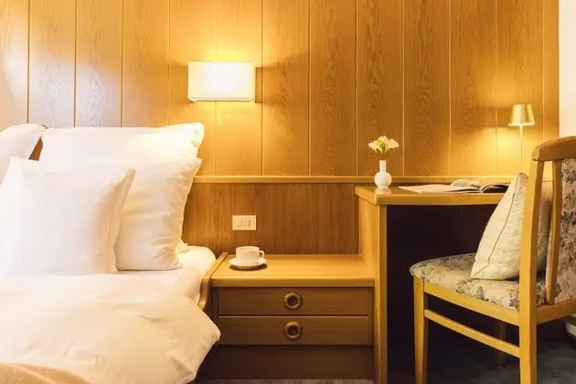 Tek Büyük Yataklı Oda (Waldblick)