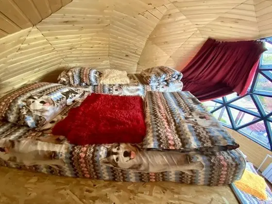 Comfort Dört Kişilik Oda