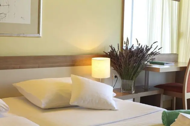 Premium İki Ayrı Yataklı Oda, Balkon, Park Manzaralı