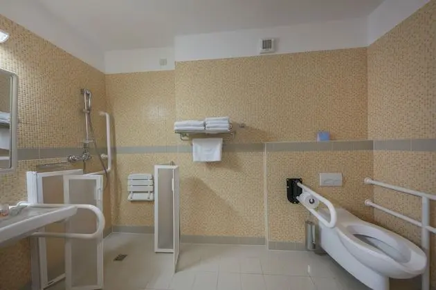 Tek Büyük Yataklı Oda, Engellilere Uygun, Balkon (Park Side)
