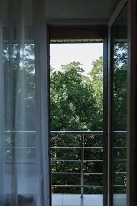 Standard Tek Kişilik Oda, Balkon, Park Manzaralı