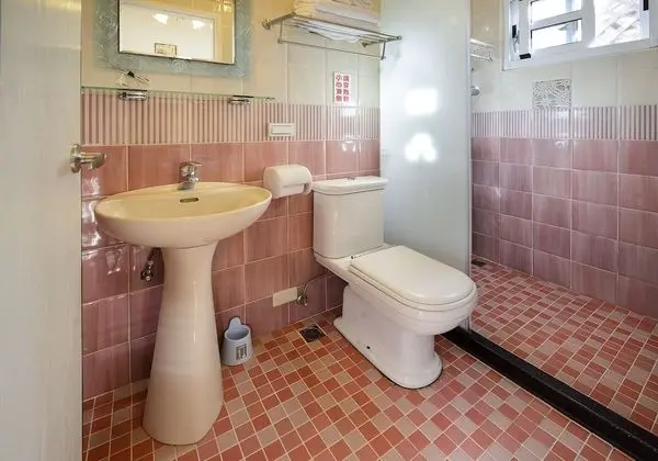 Standard Tek Büyük Yataklı Oda, 1 Çift Kişilik Yatak, Buzdolabı, Avlu Manzaralı