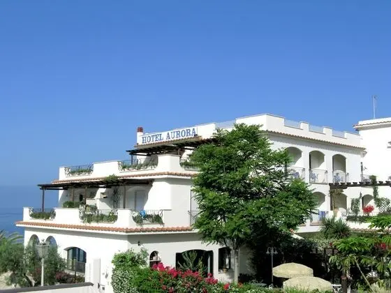 Junior Süit, Bahçe Manzaralı (Flabellina)