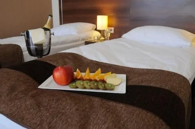 Standard Tek Büyük veya İki Ayrı Yataklı Oda, 2 Tek Kişilik Yatak