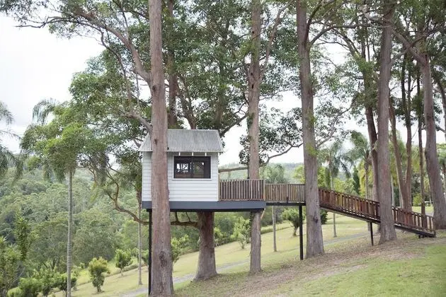 Design Çatı Katı (Loft)