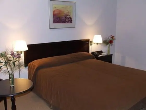 Standard Tek Büyük Yataklı Oda, 1 Çift Kişilik Yatak