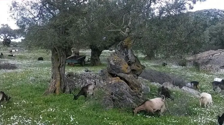 Ev, 1 Yatak Odası, Sigara İçilebilir, Teras