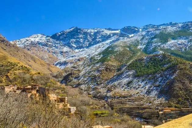 Oda, 1 Yatak Odası, Sigara İçilebilir, Teras