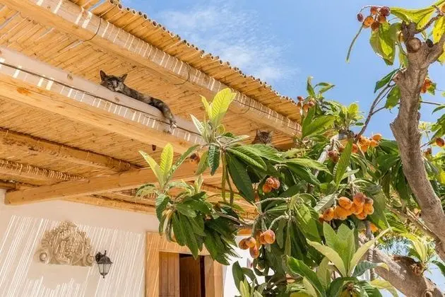 Villa, 3 Yatak Odası, Şömine