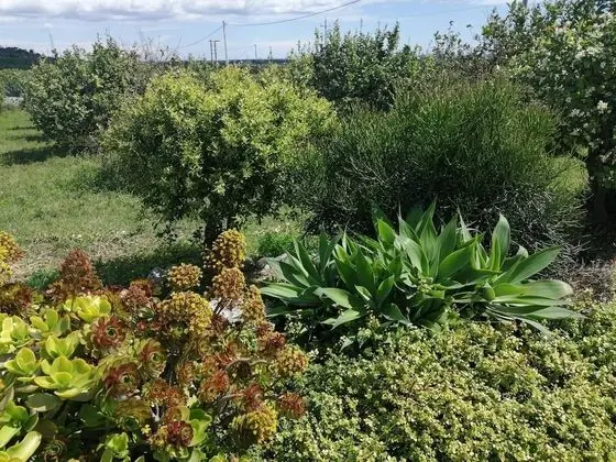 Villa, 3 Yatak Odası, Şömine