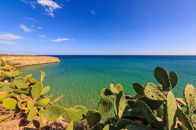 Villa, 3 Yatak Odası, Şömine