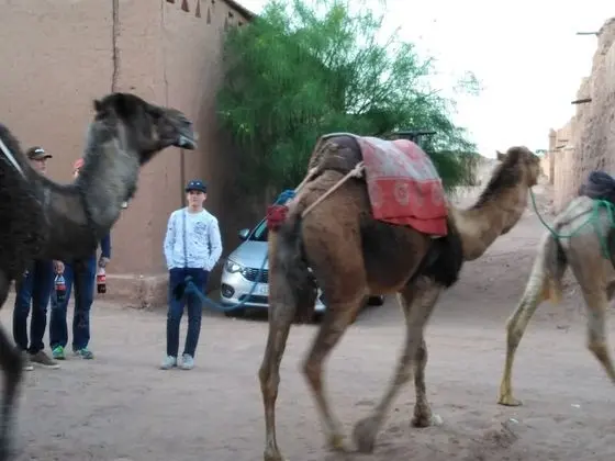 Tek Büyük veya İki Ayrı Yataklı Oda, Ortak Banyo