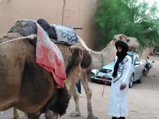 Tek Büyük veya İki Ayrı Yataklı Oda, Ortak Banyo