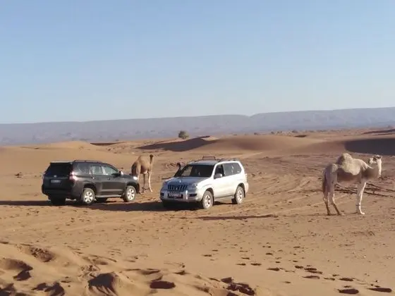 Tek Büyük veya İki Ayrı Yataklı Oda, Ortak Banyo